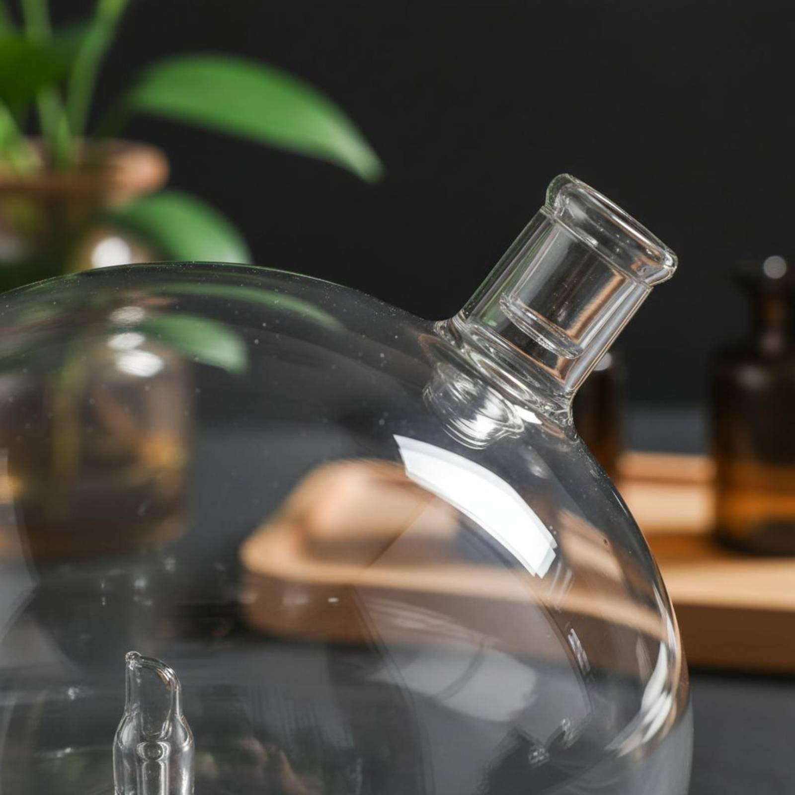 디퓨저 병 물이 없는 향수 디퓨저용 유니버설 핏 유리  - Home Fragrance For Diffuser 리뷰 및 가격